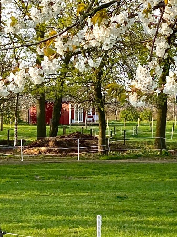 De Heeren Hoeve Carpe Diem