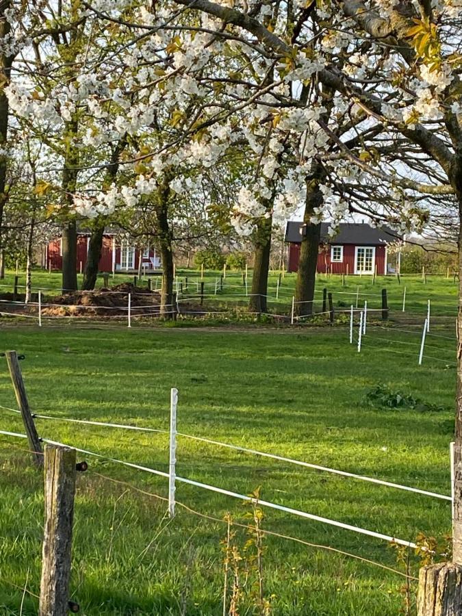 De Heeren Hoeve Carpe Diem Bed & Breakfast